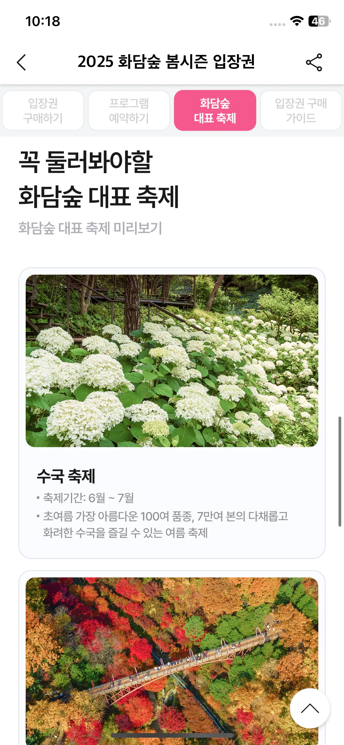 Test Image 11